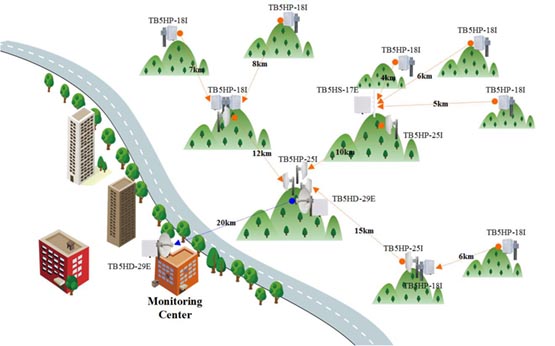 forest-fg1