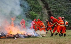 ȫ֡Ӧ|˫רӦͨŷɹԮ