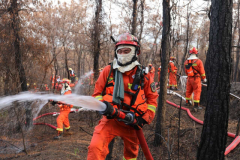 绷ͨţMESHƽ⴫ͳɭַͨ